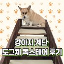 상상도그 | 강아지 윤순대님 주문 제작 계단 도그체 독스테어 열흘 사용 후기