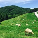 지리마을축산 이미지