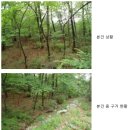 봉림사 입구 네이버블로그