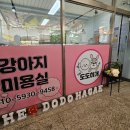 더 도도하개 네이버블로그