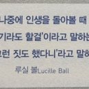 홍주신발 이미지