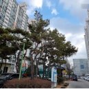 일곡초교 이미지