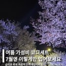 여름 가성비 코디세트 6가지 7월엔 이렇게만 입어보세요!