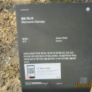 웰컴캐노피 이미지