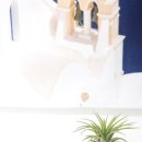 꽃보배스튜디오