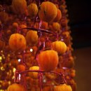 지리산대포마을 이미지