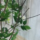 키노스튜디오 이미지