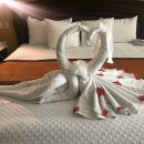 웰컴호텔 이미지