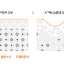 진피오니 이미지