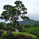 춘천호반체육관 이미지