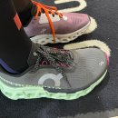 꽃구름컴퍼니 | 서면 롯데백화점 :: 굿러너컴퍼니 :: 온러닝 호카 외 러닝화 브랜드 추천