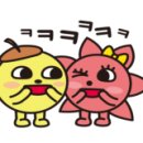 양세환생면국수 이미지