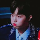팝시 이미지