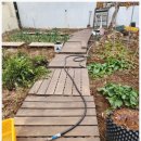 모장힐링 하우스 이미지