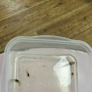 인애유치원 - 광진구 | 인애유치원