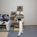 승재농장 이미지