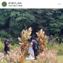 설개로2번길 | [웨딩 베뉴 투어] 야외 VS 실내 / 이상과 현실의 타협 (근화원, 보넬리가든, 메종디탈리, 라움, 라비두스)