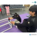 호원대부속유치원 이미지