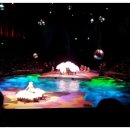 더하우스민박 이미지