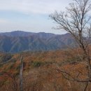 덕상1리마을회관 이미지