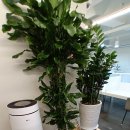 플랜트 부천남부역라운지 이미지