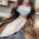 신촌애견미용실 이미지