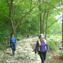 쌍용터널 앞 이미지