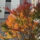 화정 메디칼 약국 이미지