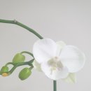 하얀의료기 이미지