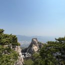 한국통닭 이미지