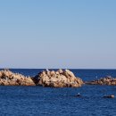 문무약국 이미지