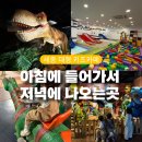 세종 대형 키즈카페 공룡월드 꿀팁대방출 대전 근교 겨울방학 아이와 실내 가볼만한곳 추천