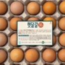 에그트리 이미지