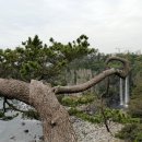 정방폭포 주차장 이미지