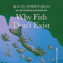 지나가다봄 이미지