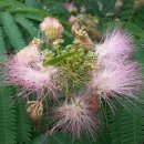 선분농장 이미지