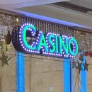 선평역 | 힐링 차박여행 찐 맛집과 여행 코스 추천 (육백마지기. 민둥산. 선평역. 삼탄 아트 마인. 강원랜드 후기)