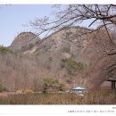 그린세탁 이미지