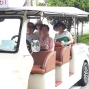 전동차나라 이미지