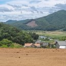 개울옆길 이미지