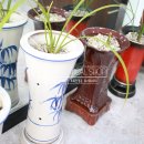 초록안경원 이미지