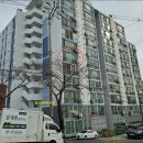 백화맨션 이미지