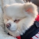 안힘든 운동을 원하신다면 절대 보지 마세요..상현역 루아필라테스 1회 체험 후기