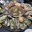 광어총각 생굴처녀 이미지