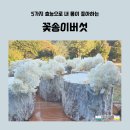 영미트 - 음성군 대하로 227 | 영미트