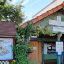 원주허브팜식물박물관 이미지