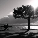 목동목장 이미지