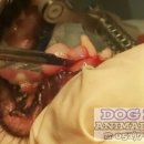 센텀메디컬센터 이미지