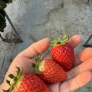 두두농장 이미지