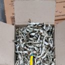 신창건어물 이미지